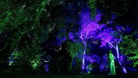 Foto: Pohon-pohon dan tumbuhan di kebun ini diberi pencahayaaan yang dibuat seartistik mungkin. Pengunjung bisa menikmati 10 iluminasi yang diperlihatkan di taman (Mario Anzuoni/Reuters)