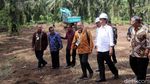 Jokowi Bertemu Petani Sawit di Sumut