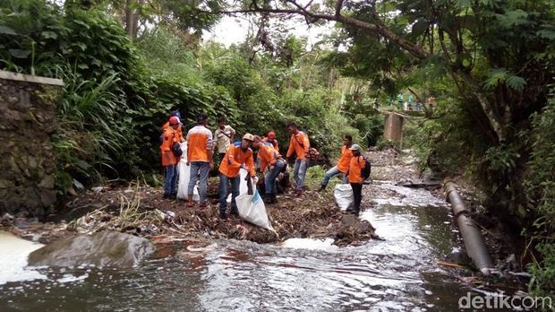 Jaga Cadangan Air, 2.800 Pohon Ditanam di Hulu Sungai Rawa 