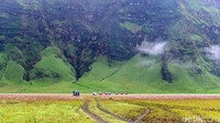 Pemandangan di Bukit Timur Savana Taman Nasional Bromo Tengger Semeru (TNBTS).