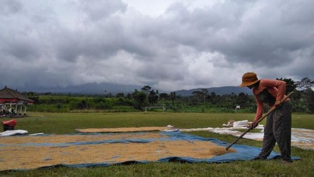 Asap Letusan Gunung Agung Semakin Tinggi hingga 4 Km