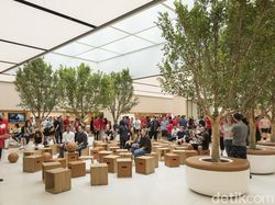 Kerennya Tampilan Anyar Apple Store