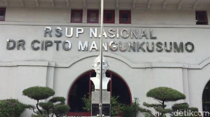 RSCM membuka layanan prostat terpadu berteknologi robotik. (Foto Ilustrasi: Dwi Andayani-detikcom) RSCM membuka layanan prostat terpadu berteknologi robotik. (Foto Ilustrasi: Dwi Andayani-detikcom)