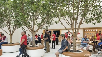 Kini mereka punya 240 staff. Foto: Broadsheet/Pate Dillon