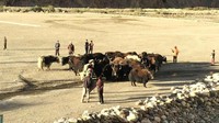 Orang-orang dewasa akan tersenyum dan menyambut pengunjung yang datang ke desa mereka. Berjalanlah menuju Shimshal Pass, tempat penduduk desa membawa ternak untuk merumput di padang sabana yang rimbun (BBC Travel)
