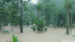 Terdampak Cuaca Ekstrem, Ini Potret Banjir dan Longsor di Yogya