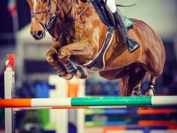 Mencengangkan, Putri Bill Gates dan Steve Jobs Sangat Mirip