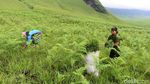 Dari Keindahan Bromo, Mengalir Pipa Air Bersih untuk Warga