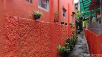 Sejumlah tanaman yang tergantung di tembok juga turut mempercantik kampung.
