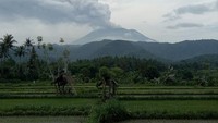 Gunung Agung masih bererupsi sejak 21 November 2017 dan 25 November lalu. Gunung setinggi 3.142 Mdpl itu dinyatakan belum mengeluarkan letusan utamanya jika mengacu pada letusan tahun 1963 lalu.
