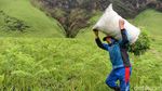 Dari Keindahan Bromo, Mengalir Pipa Air Bersih untuk Warga
