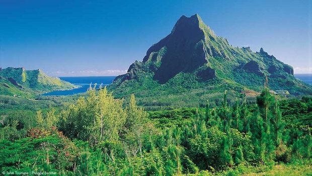 Pegunungan Hijau di Pulau Moorea (Tahiti Tourism)
