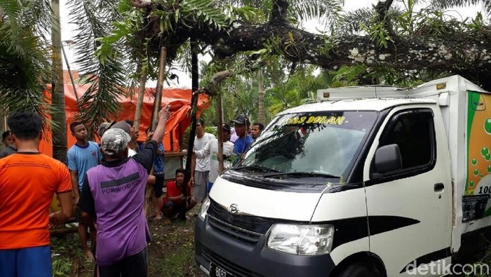 Mobil Ringsek Tertimpa Pohon di Purworejo
