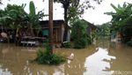 Foto: Begini Dahsyatnya Banjir di Sekitar Bengawan Solo