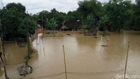 Sedikitnya lima wilayah yang terdampak banjir, yakni Kelurahan Semanggi dan Kelurahan Sewu yang berada di bantaran Sungai Bengawan Solo.  (Foto: Bayu Ardi Isnanto/detikcom)