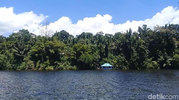 Danau Lindu, Surga Tersembunyi di Antara Belantara