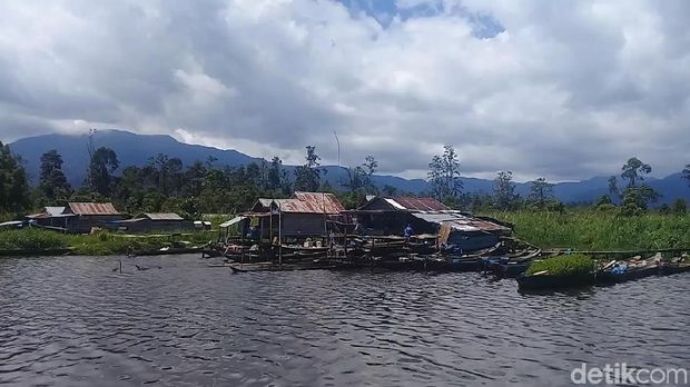 Danau Lindu, Surga Tersembunyi di Antara Belantara