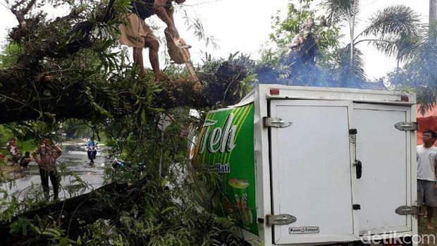 Pohon asam tumbang timpa mobil