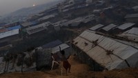 Rencana pengembangan pulau ini tetap disetujui meskipun muncul kritikan yang menyebut pulau itu tidak layak huni. Foto menunjukkan situasi kamp pengungsian Rohingya di Bangladesh saat ini. Foto: REUTERS/Susana Vera