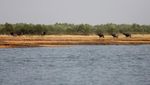 Foto: Ini Pulau Terpencil yang Akan Jadi Rumah Sementara Rohingya