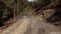 Jalan Trans Papua awalnya dibuka oleh Zeni TNI AD. Selanjutnya diteruskan oleh Kementerian PUPR mengaspal. Berkat sinergi tersebut ruas jalan sepanjang 90 km dari Wamena-Habema-Mbua sudah fungsional. Pool/Kementerian PUPR.