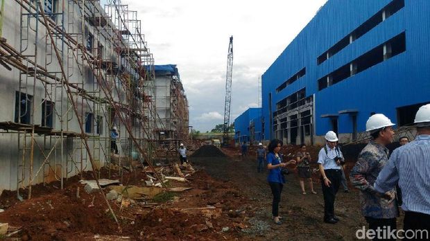 Proyek pabrik vaksin ternak Rp 1,4 triliun di Bogor