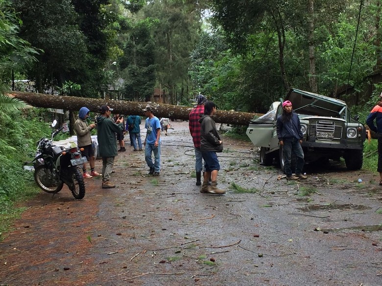 Badai Terjang Lembang, Pohon Tumbang Timpa Mobil dan Bangunan