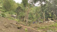 Longsor yang terjadi di Pedukuhan Ngroto, Pendoworejo, Girimulyo, Kabupaten Kulon Progo ini menimbuh Daladi (57) dan anaknya, Heri Siswadi (30). (Foto: Ristu Hanafi/detikcom)