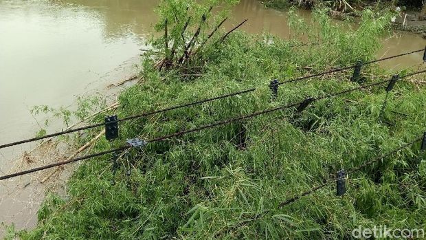 bambu tersangkut di bawah jembatan di Kali Opak, Bantul