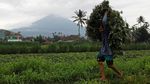 Begini Kondisi Gunung Agung Setelah Letusan