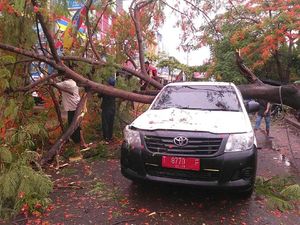 Mobil Pelat Merah di Karawang Tertimpa Pohon Tumbang