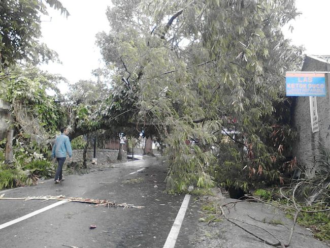 BMKG Bandung: Badai di Lembang Dampak Siklon Dahlia