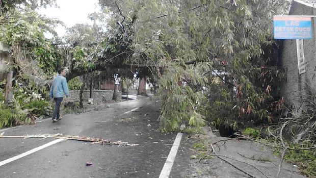 Badai Terjang Lembang, Pohon Tumbang Timpa Mobil dan Bangunan