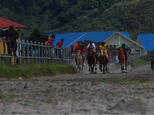 Timor Tengah Utara Terus Gaet Wisman Lewat Lomba Pacuan Kuda
