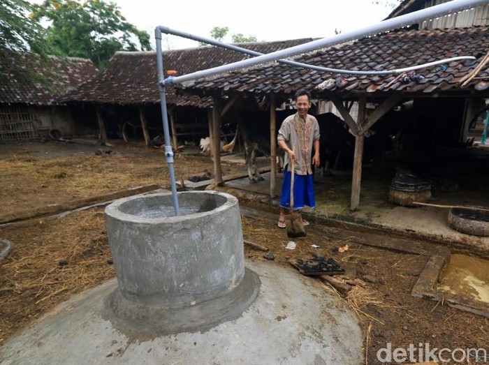 Berkat Kotoran Sapi Untuk Biogas Warga Pasuruan Tak Konsumsi Elpiji