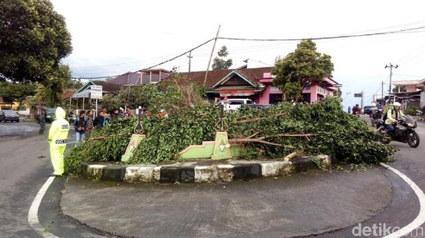 Beringion roboh akibat terkena angin kencang