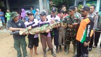 Dibutuhkan sekitar 60 orang dalam operasi gropyokan pencarian buaya muara ini. Foto: Ristu Hanafi
