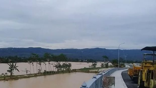 Bangkai Ternak Korban Banjir di Pacitan Tergeletak di Tepi Jalan