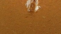 Eits, jangan ngiler! Ini bukan tiramisu lho. Foto ini menunjukkan gurun pasir yang sebagian permukaannya ditutup salju.Foto: Istimewa