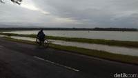 Sawah-sawah tergenang banjir pula (Ristu Hanafi/detikcom)
