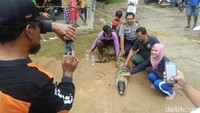 Dia melihat saat itu ukuran buaya masih kecil, lalu pada Selasa kemarin pas hujan deras, ada selokan yang banjir dan buaya itu kembali muncul di dekat dusun, sudah besar ukurannya, tutur Pramono. Foto: Ristu Hanafi