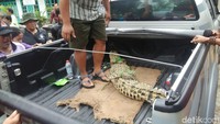 Warga kini bisa lebih tenang. Foto: Ristu Hanafi
