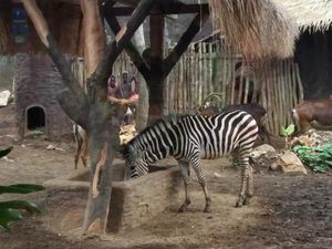 Lagi Long Weekend di Malang, Mampir ke Batu Secret Zoo Yuk