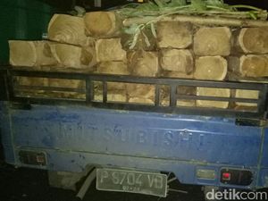 Pikap Muat Puluhan Kayu Jati Ilegal di Situbondo Ditangkap Polisi