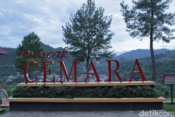 Objek wisata Puncak Cemara menjadi salah satu spot untuk melihat Sawahlunto dari ketinggian, begitu juga dengan papan Hollywood ala Sawahlunto (Randy/detikTravel) Objek wisata Puncak Cemara menjadi salah satu spot untuk melihat Sawahlunto dari ketinggian, begitu juga dengan papan Hollywood ala Sawahlunto (Randy/detikTravel)