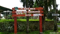 Kebun kopi ini terletak di Dusun Karanganyar, Desa Modangan, Kecamatan Nglegok, Kabupaten Blitar. Di atas lahan seluas 250 hektare, destinasi wisata kebun kopi bernama Keboen Kopi Karanganyar ini mengusung konsep agrohistory coffee (Erliana/detikTravel)