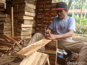 Kisah Penderes Nira, Bertaruh Nyawa Hingga Cacat Akibat Terjatuh