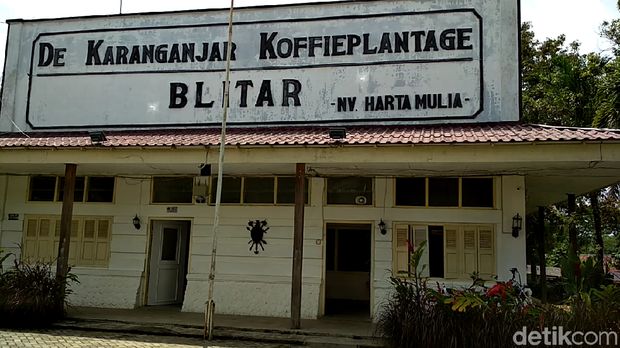 Barista Bule dan Kebun Kopi Peninggalan Belanda di Blitar