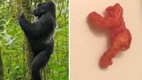 Yang juga ramai diperbincangkan adalah kepingan Cheetos mirip Gorilla Harambe. Saking uniknya, Cheetos ini laku terjual hingga Rp 1,3 miliar! Foto: Istimewa