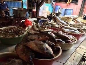 Harga Ikan Kembung Naik Jadi Rp 35 Ribu/Kg, Ini Penyebabnya